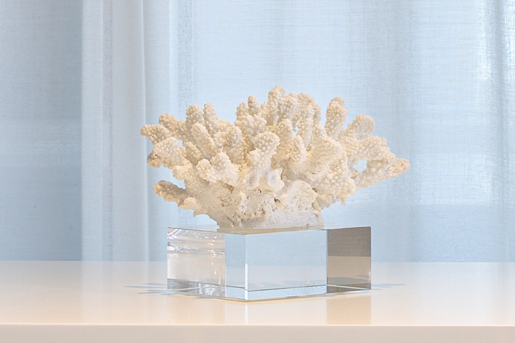 Coral Tabletop with Glass Base