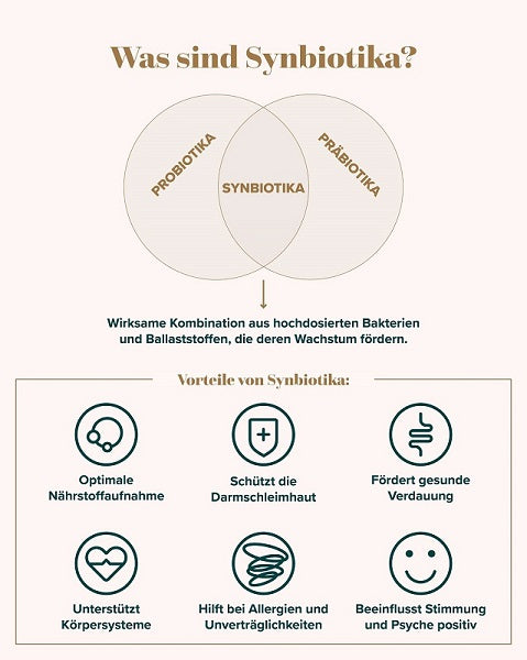 Synbiotika Infografik