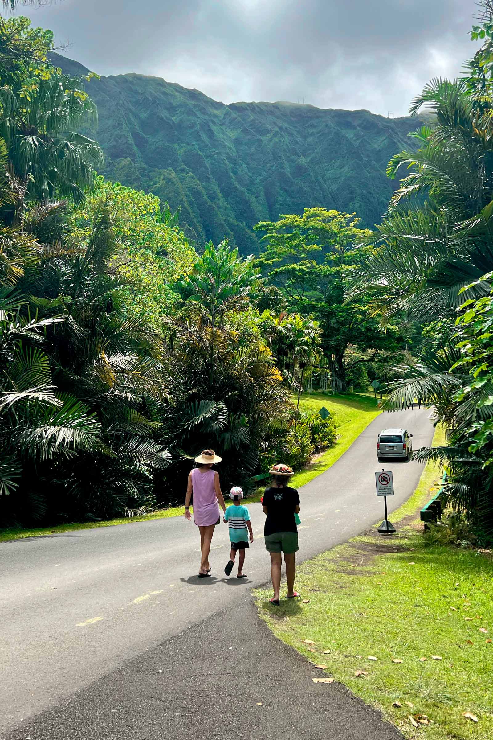 A Hawaiian Local’s Guide to Ho‘omaluhia Botanical Garden, O‘ahu, Hawai‘i