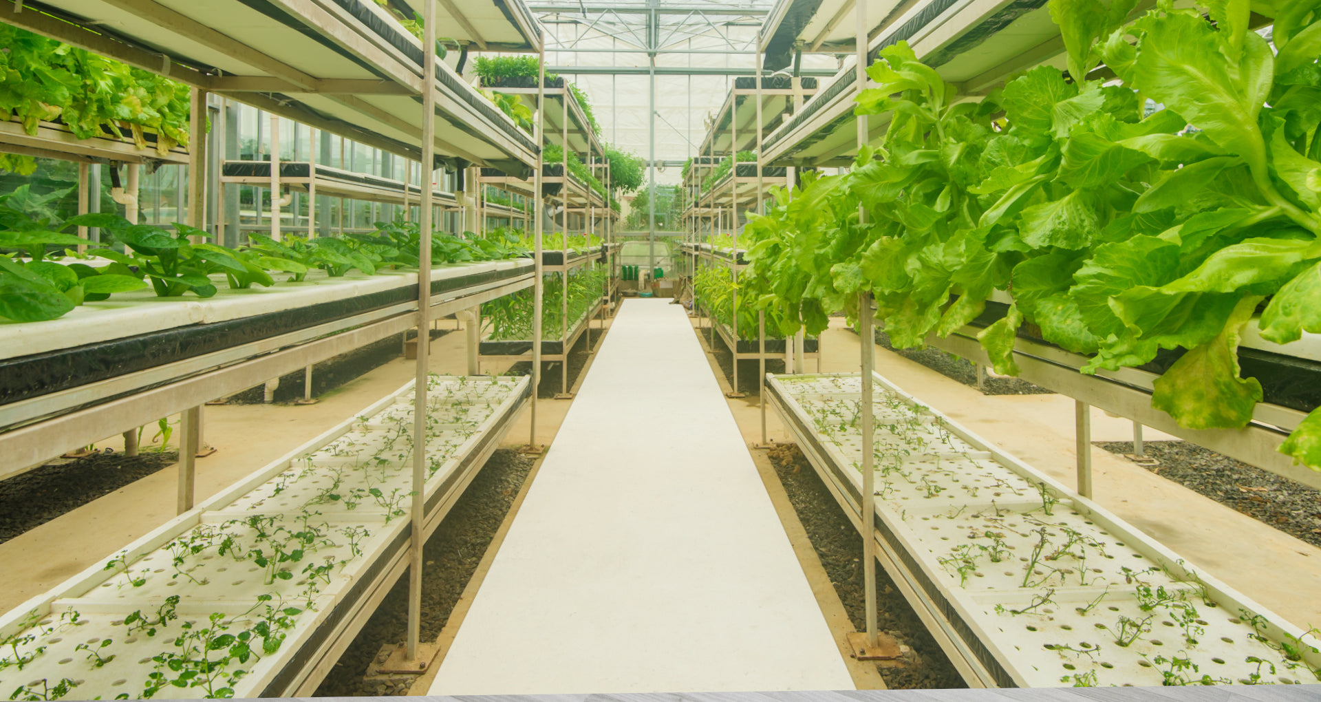 Growfloor greenhouse flooring