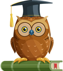The Wriggler Help Them Learn Cognitive Development Crystallised Knowledge Owl image
