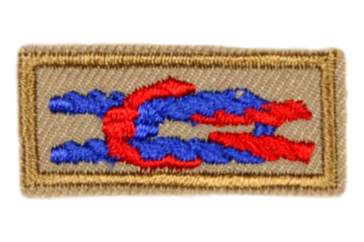 bsa adult recognition knots