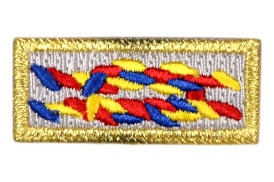 bsa adult recognition knots