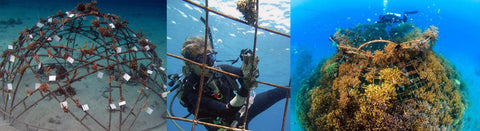 biorock coral reef conservation bali necklaces