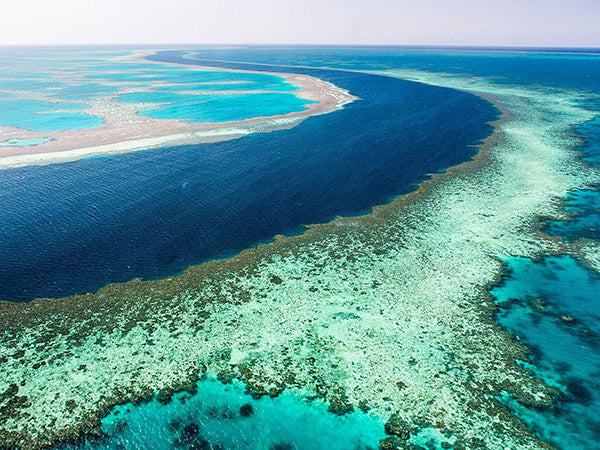 coral triangle coast lines