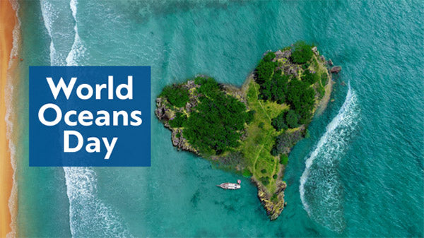 world oceans day coral reef conservation bali