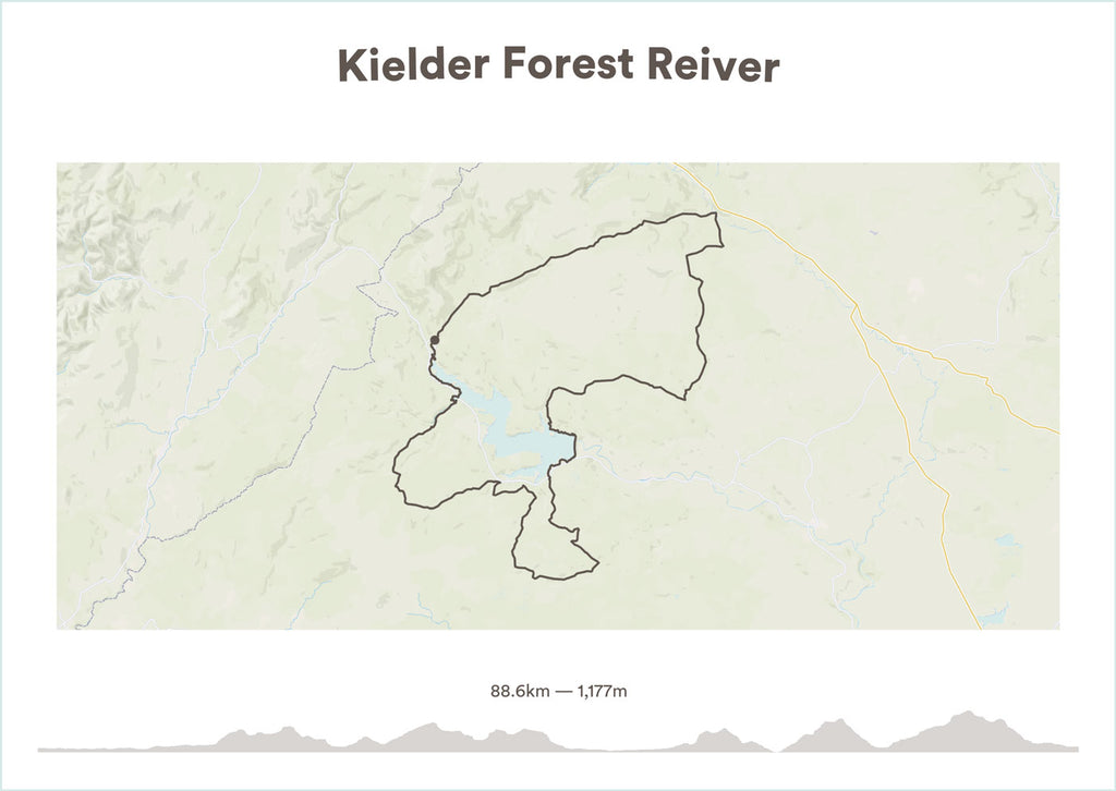 Kielder Forest Reiver Cycling Print