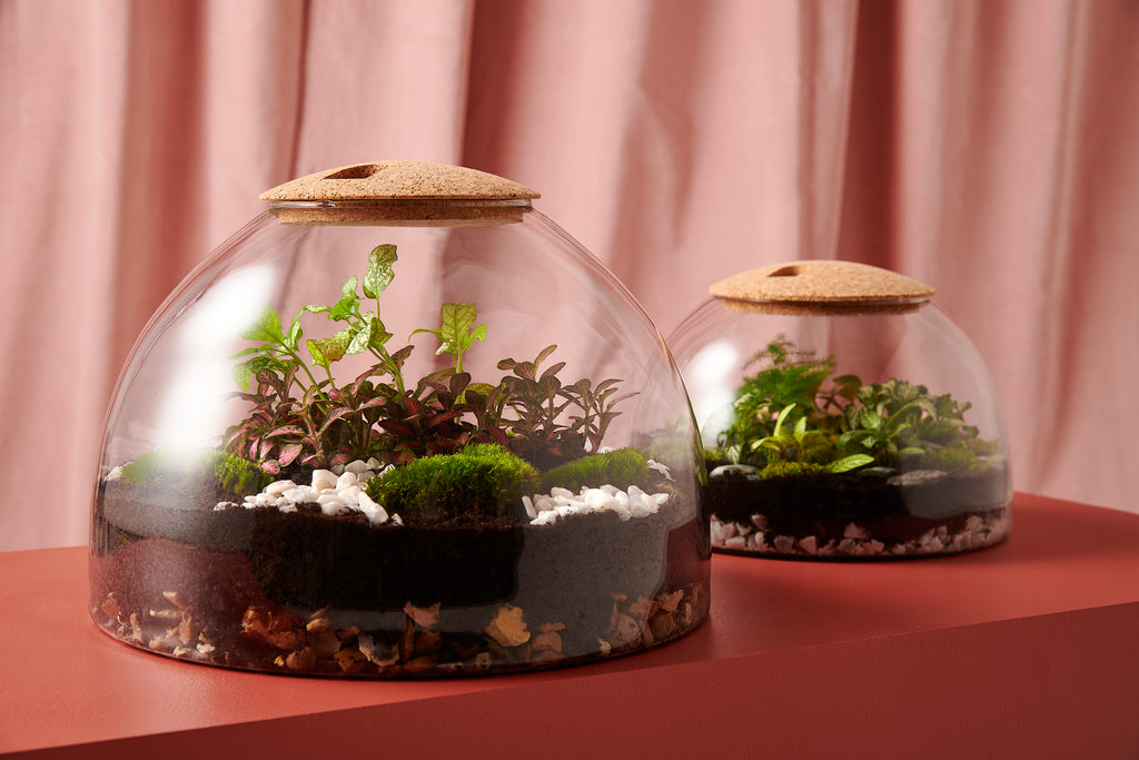 6 Books for Every Plant Lover – London Terrariums