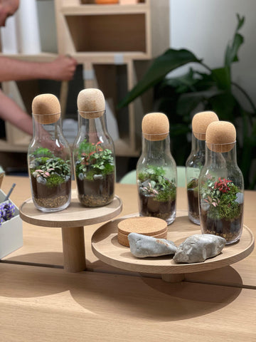 Corky Carafe by Muuto as a terrarium by London Terrariums