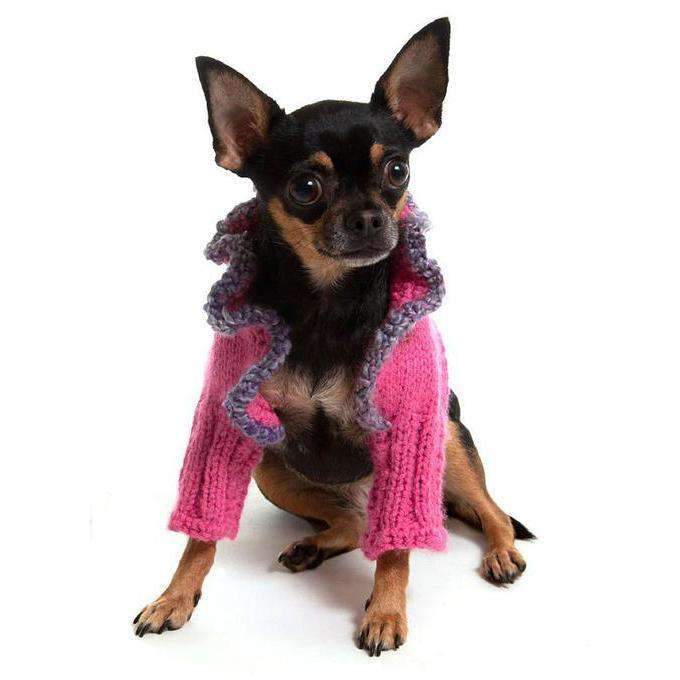 dog in pink sweater dog in pink sweater