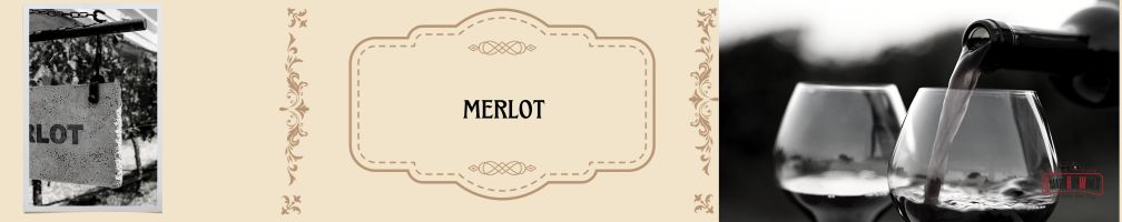 Merlot - SmartBuyWines