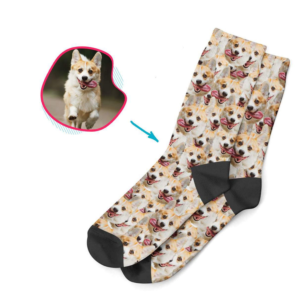 Custom Dog Socks – DogaSocks