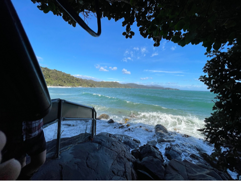 Lee Bay end of predator proof fence at Mamaku Point