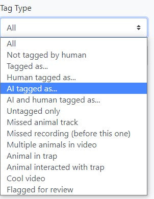 Selecting the AI tagged as filter