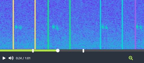 Magnified spectrogram after zooming in