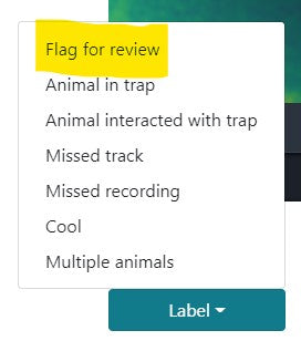 Flag for review label on the Cacophony Project Portal