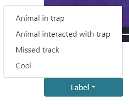 Label options