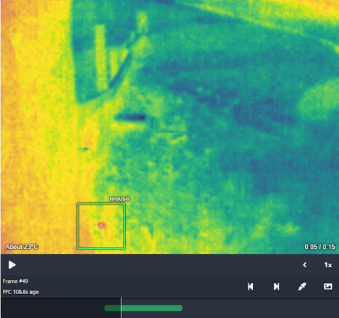 Thermal image of a mouse