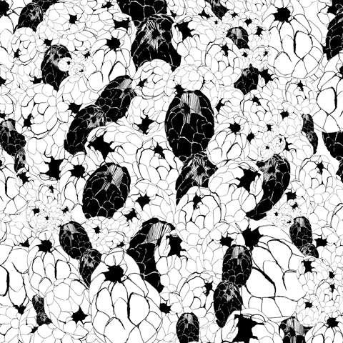 OlaOla black and white floral drawing pattern