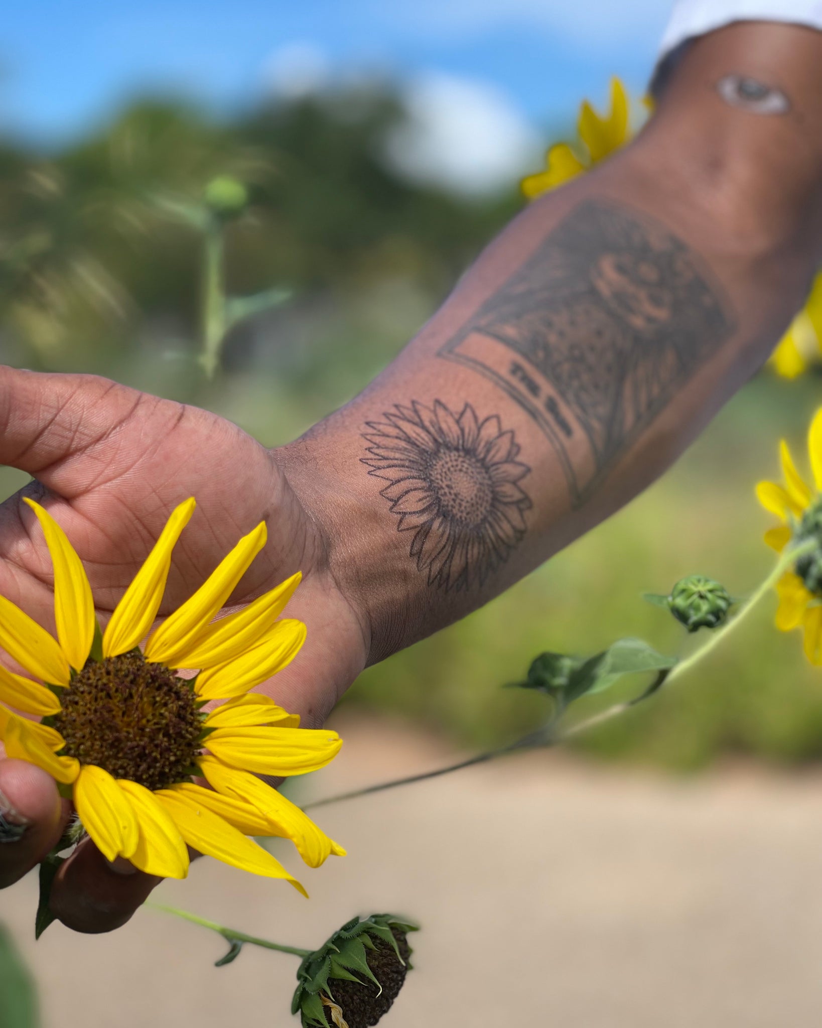 Small Sunflower Tattoos for Women  She So Healthy
