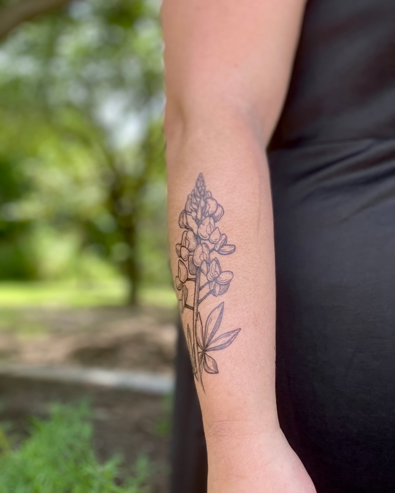 Bluebonnet Temporary Tattoo  Kiwis Garden Center