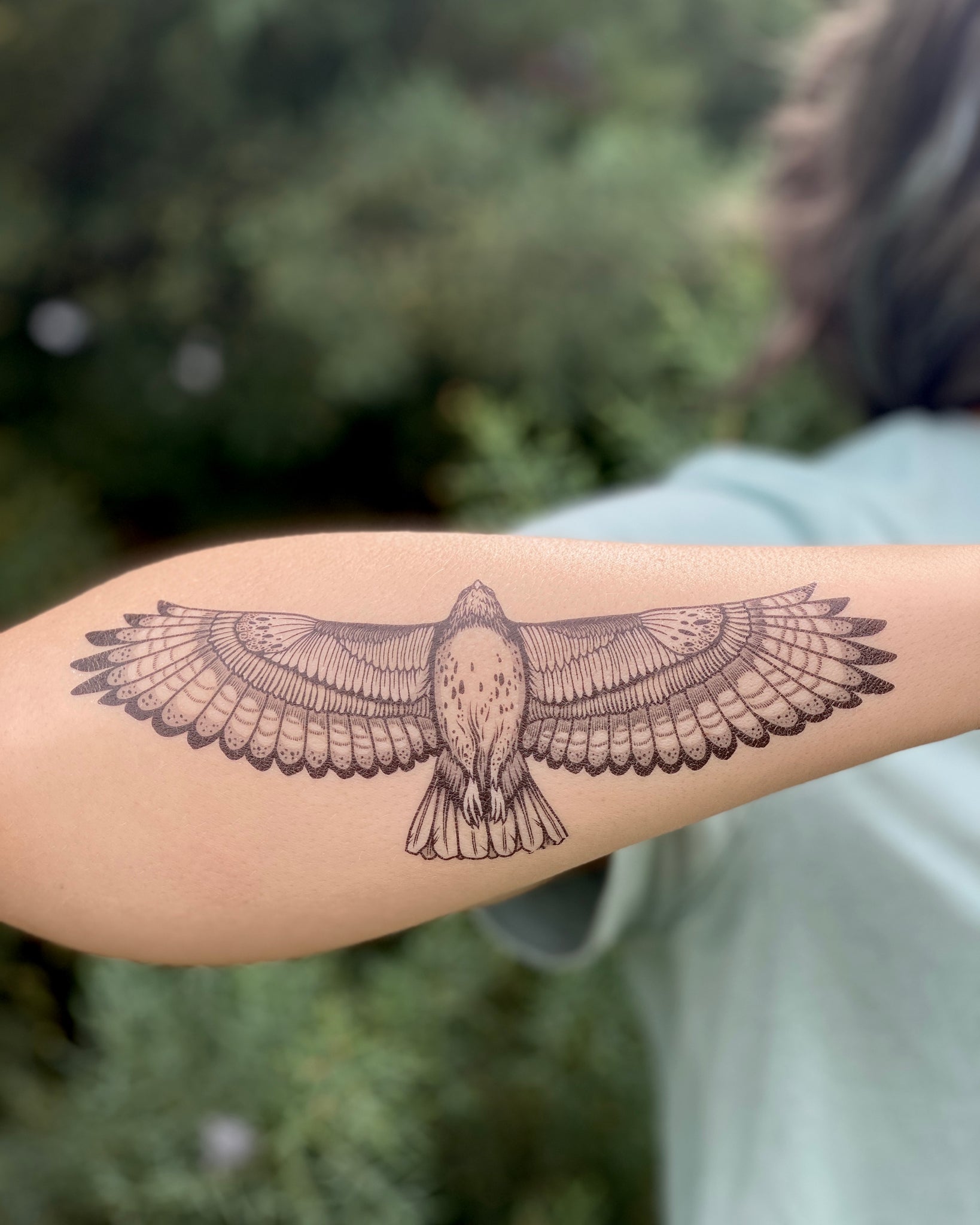 100 Eagle Head Forearm Tattoo Design png  jpg 2023