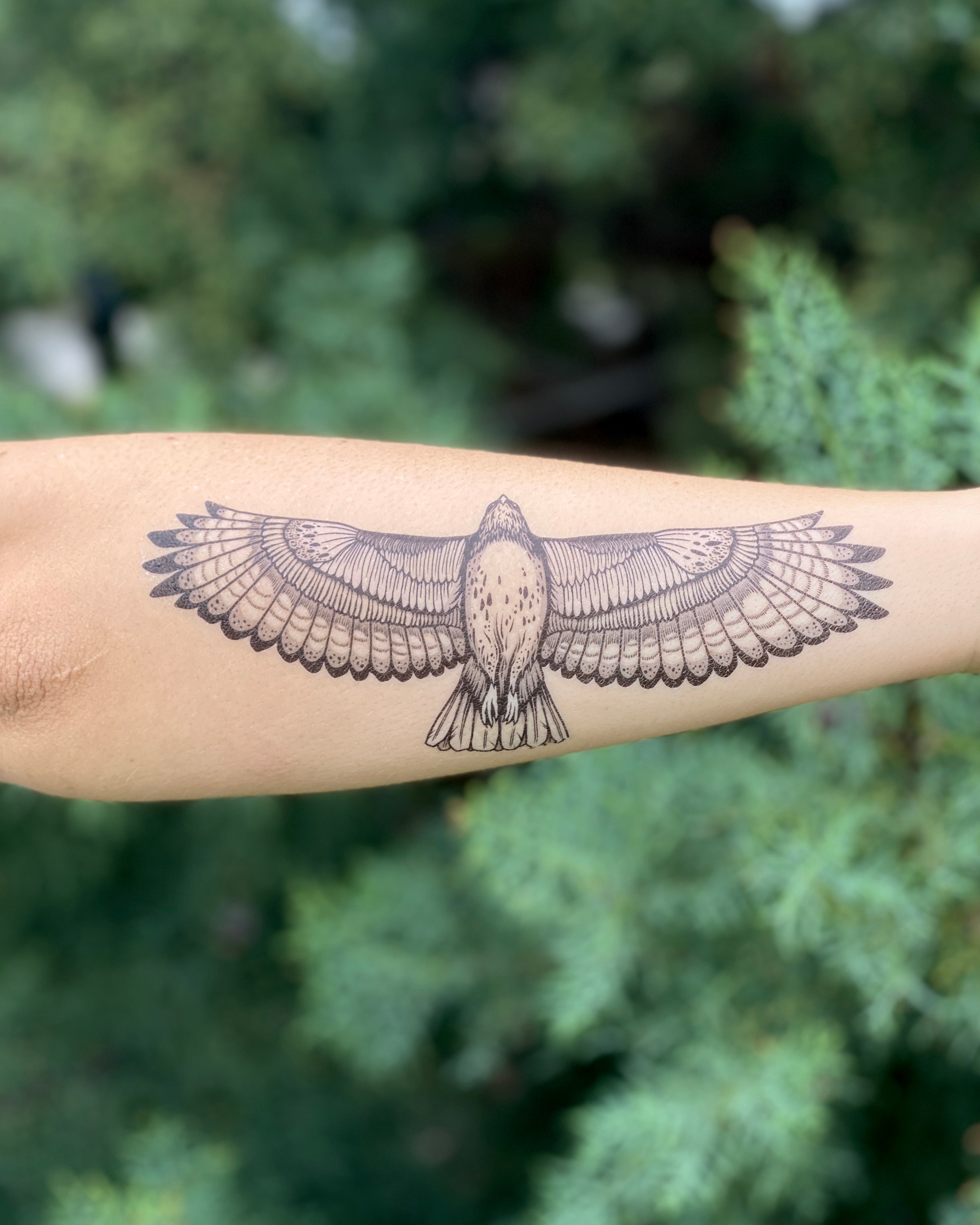 Egyptian Falcon Temporary Tattoo Bird Eagle Hawk Wings Faience  Etsy
