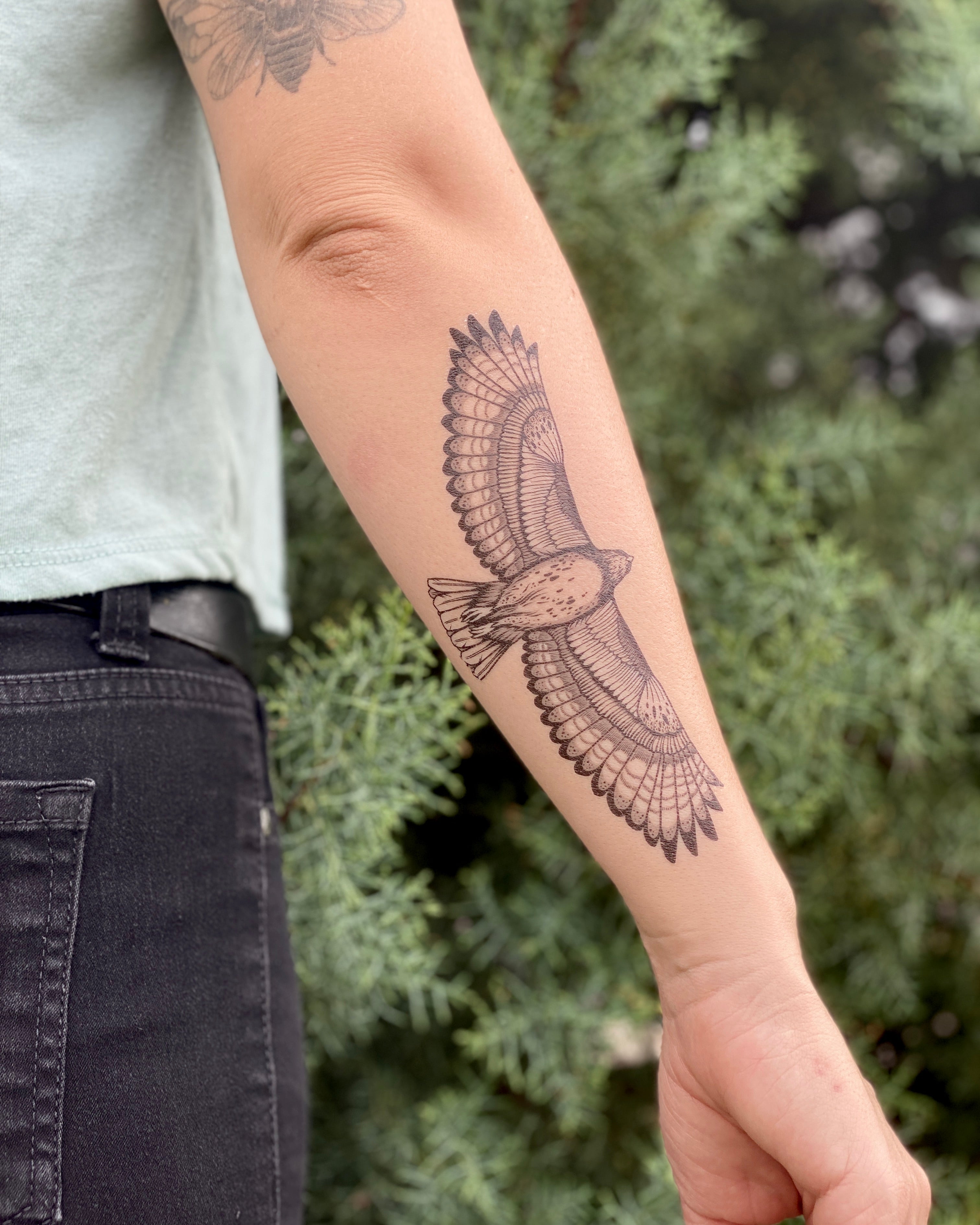 Tattoo uploaded by hozl2  Red tailed hawk  Tattoodo