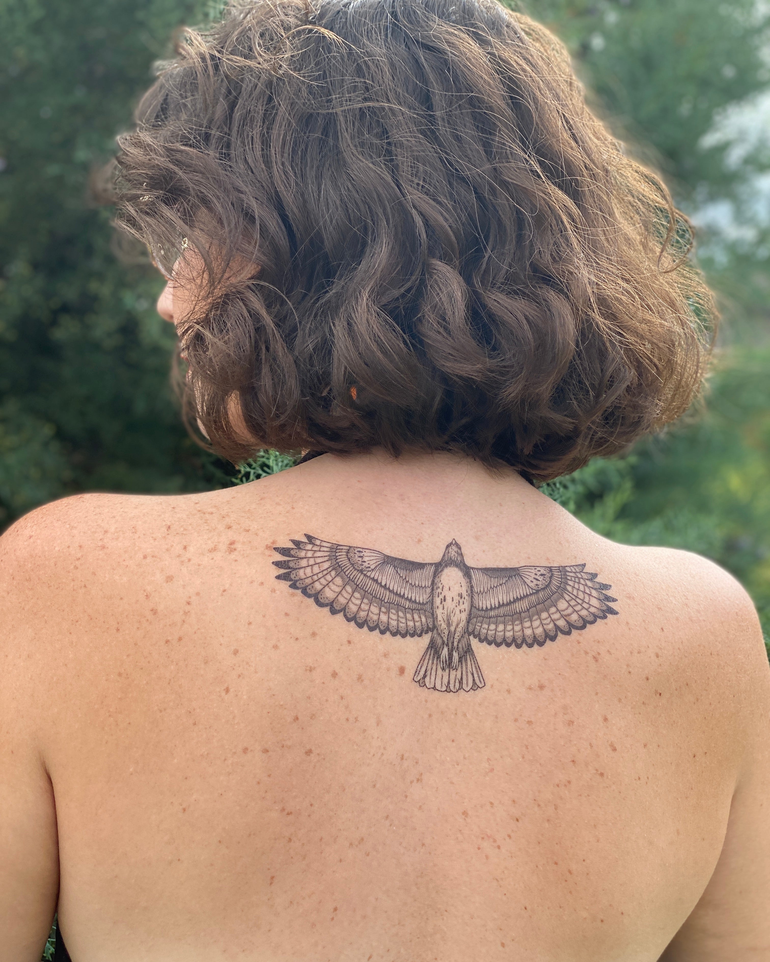 55 Best Hawk Tattoos Design And Ideas