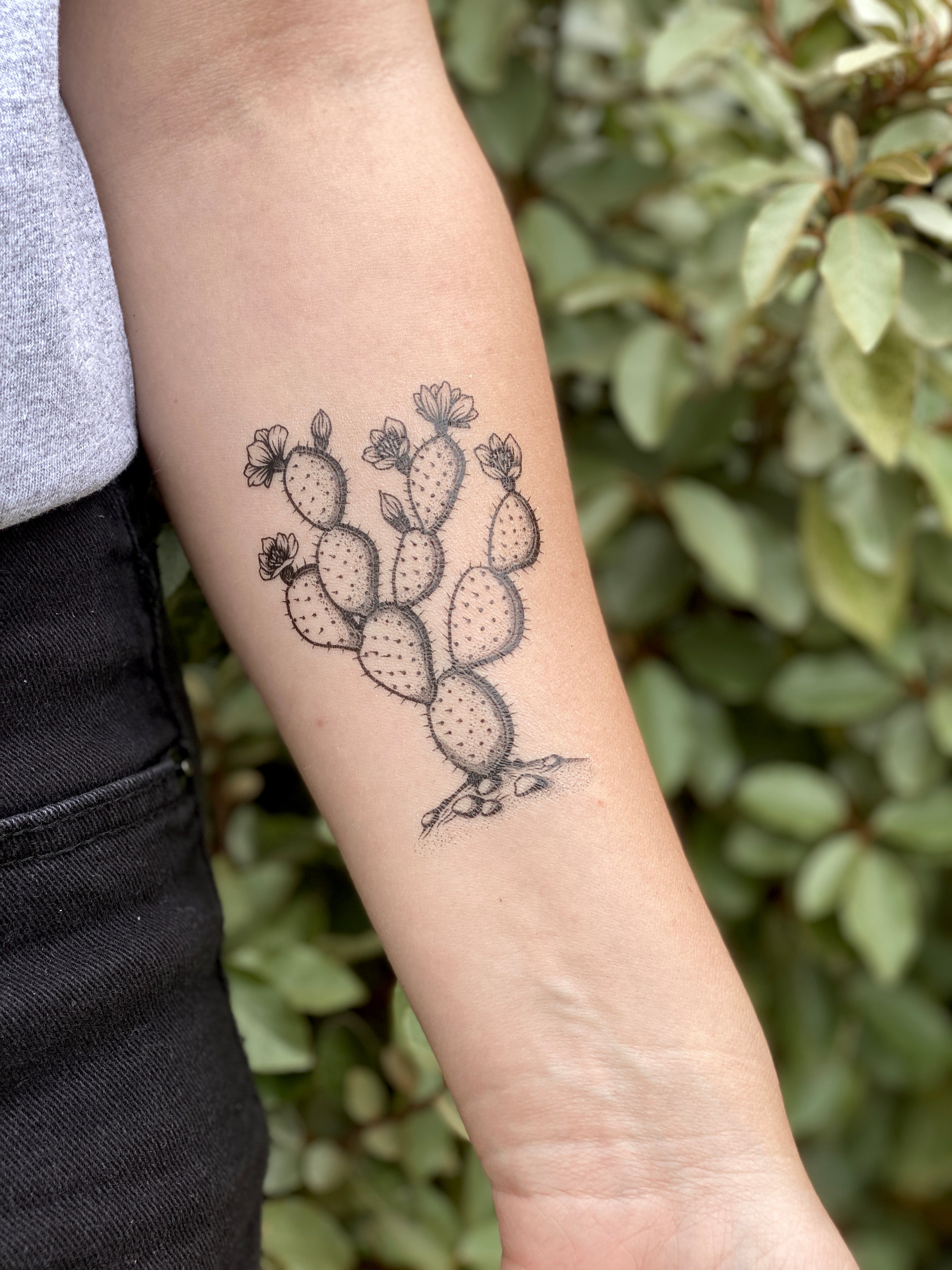 Stippledot shading Prickly Pear by Alex Citrone at Resurrection Tattoo in  Austin Texas  rtattoo