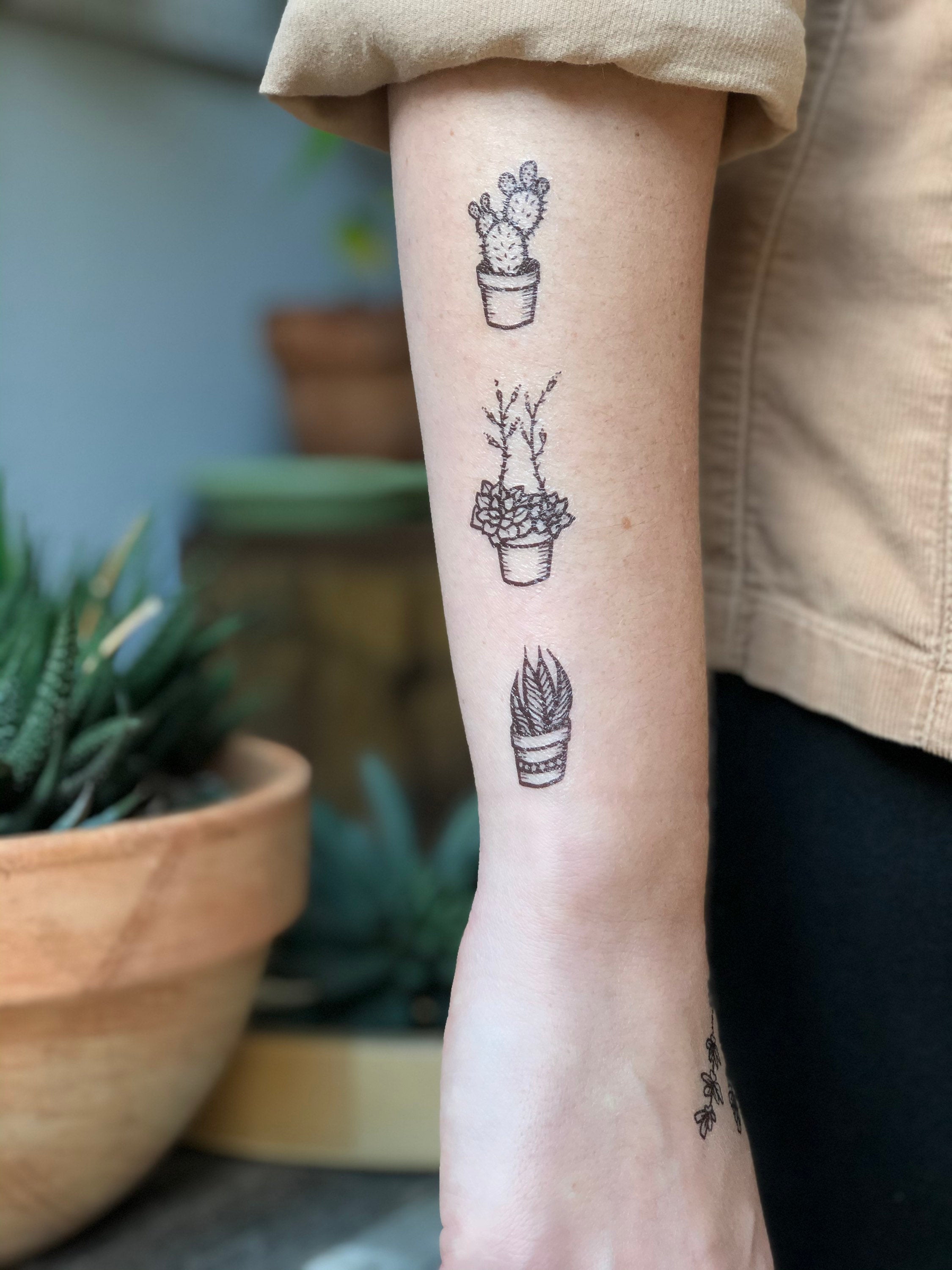 139 Awesome Succulent Tattoo Ideas For People Who Are Crazy About Succulents   Bored Panda