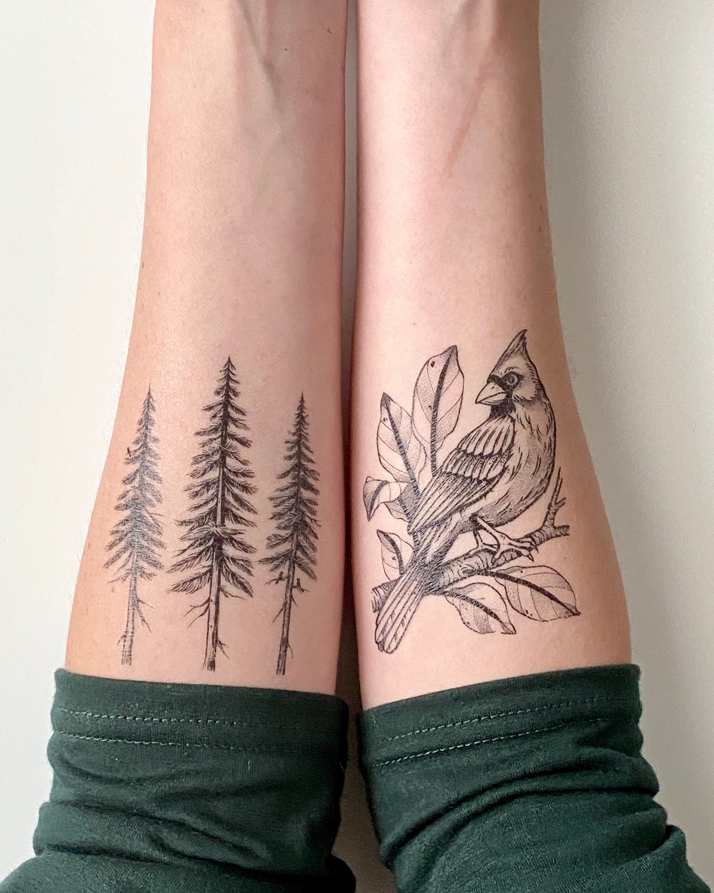 22 Photos of Mystical Pine Tree Tattoos