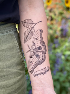 50 Moth Tattoos that are Equally Beautiful as Butterfly Tattoos  Tats n  Rings