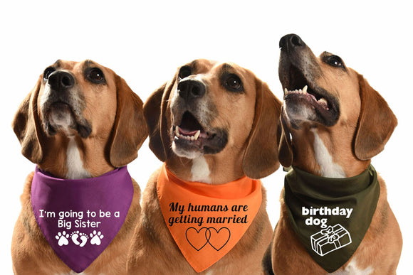 personalised dog bandanas uk