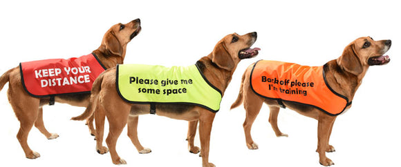 printed dog coats