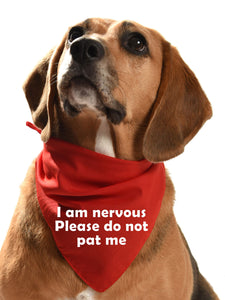 nervous dog bandana