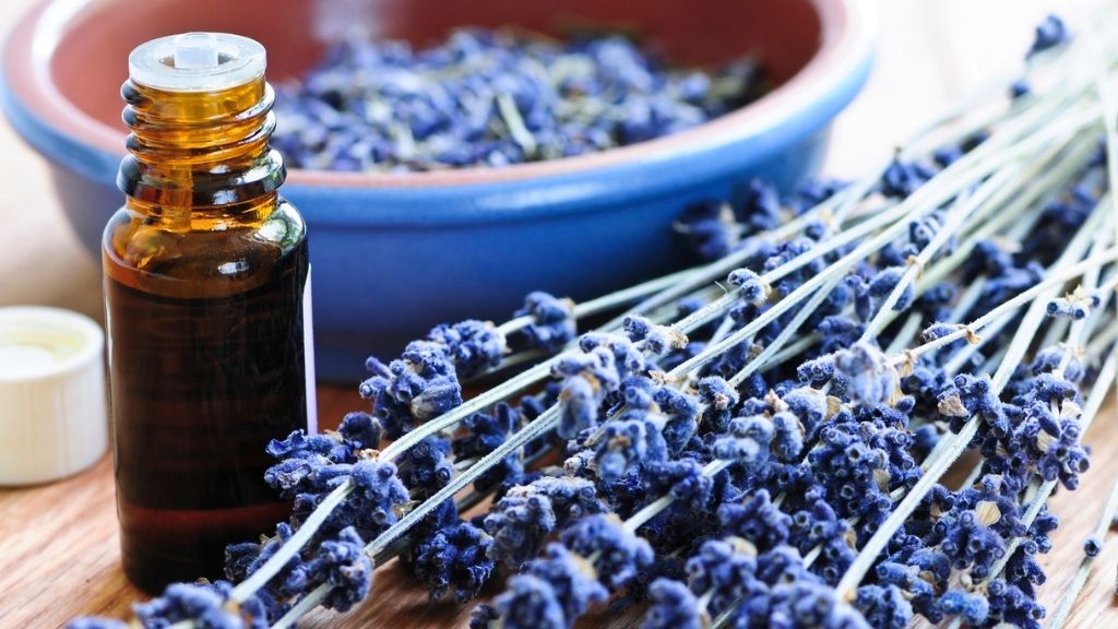 HOLISTIC AROMATHERAPY: Making sense of scent and essential oils