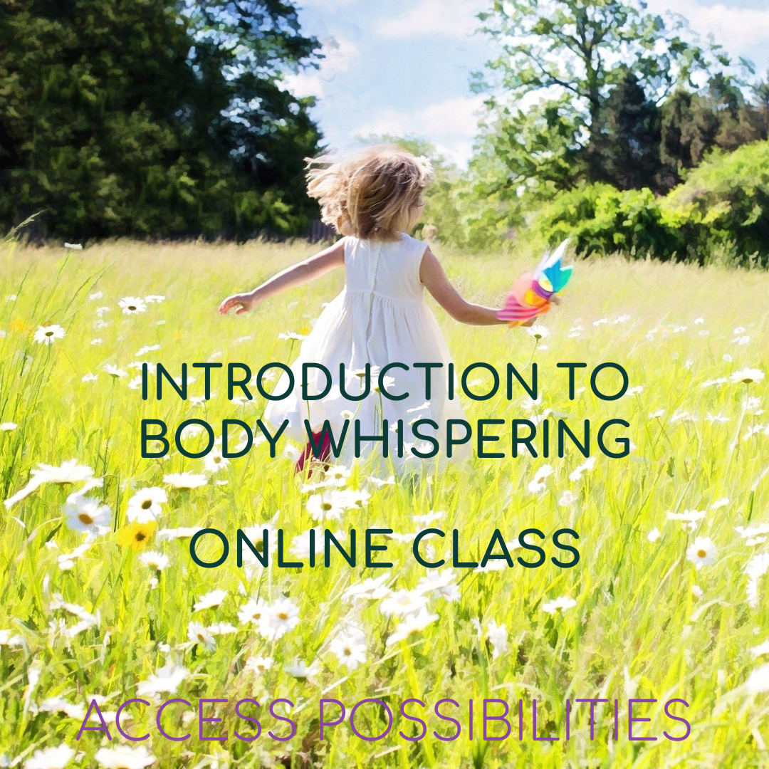 Introduction to Body Whispering | Online Video Class | Access Possibilities