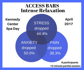 Access Bars Self-Assessment Evaluations | Pathways Natural Living Expo