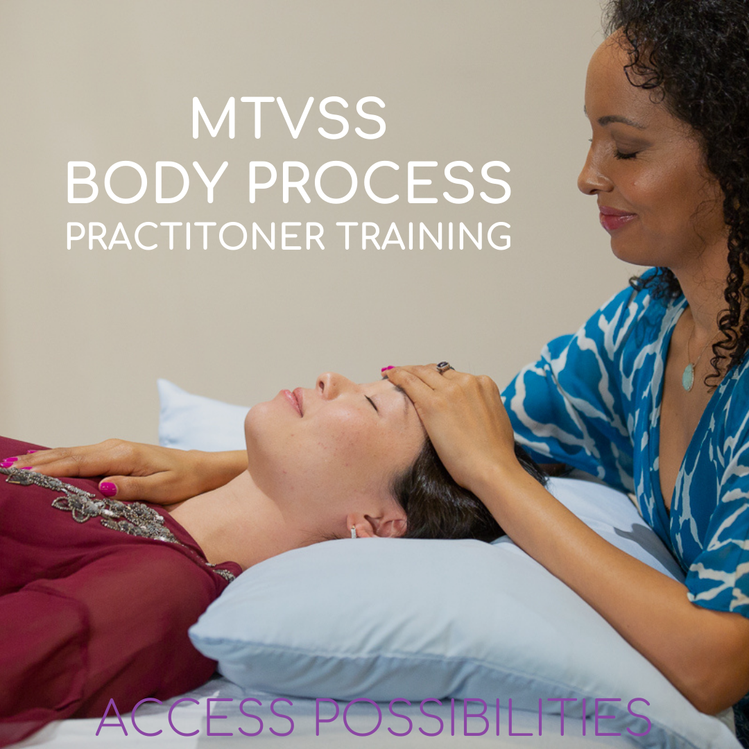 MTVSS Body Process Class | Practitioner Training | Access Possibilities