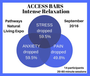 Access Bars Self-Assessment Evaluations | Pathways Natural Living Expo