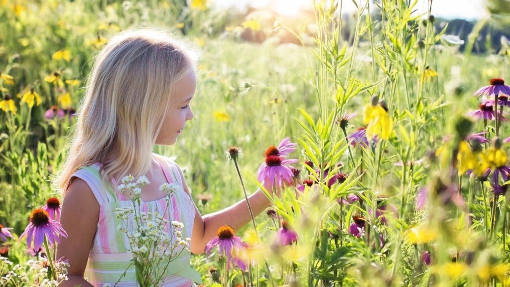 Secrets From The Body Whisperer | Body Whispering Workshop Created by Body Whispering Facilitator Julie D. Mayo | Access Possibilities