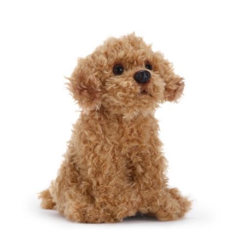 maltipoo plush toy