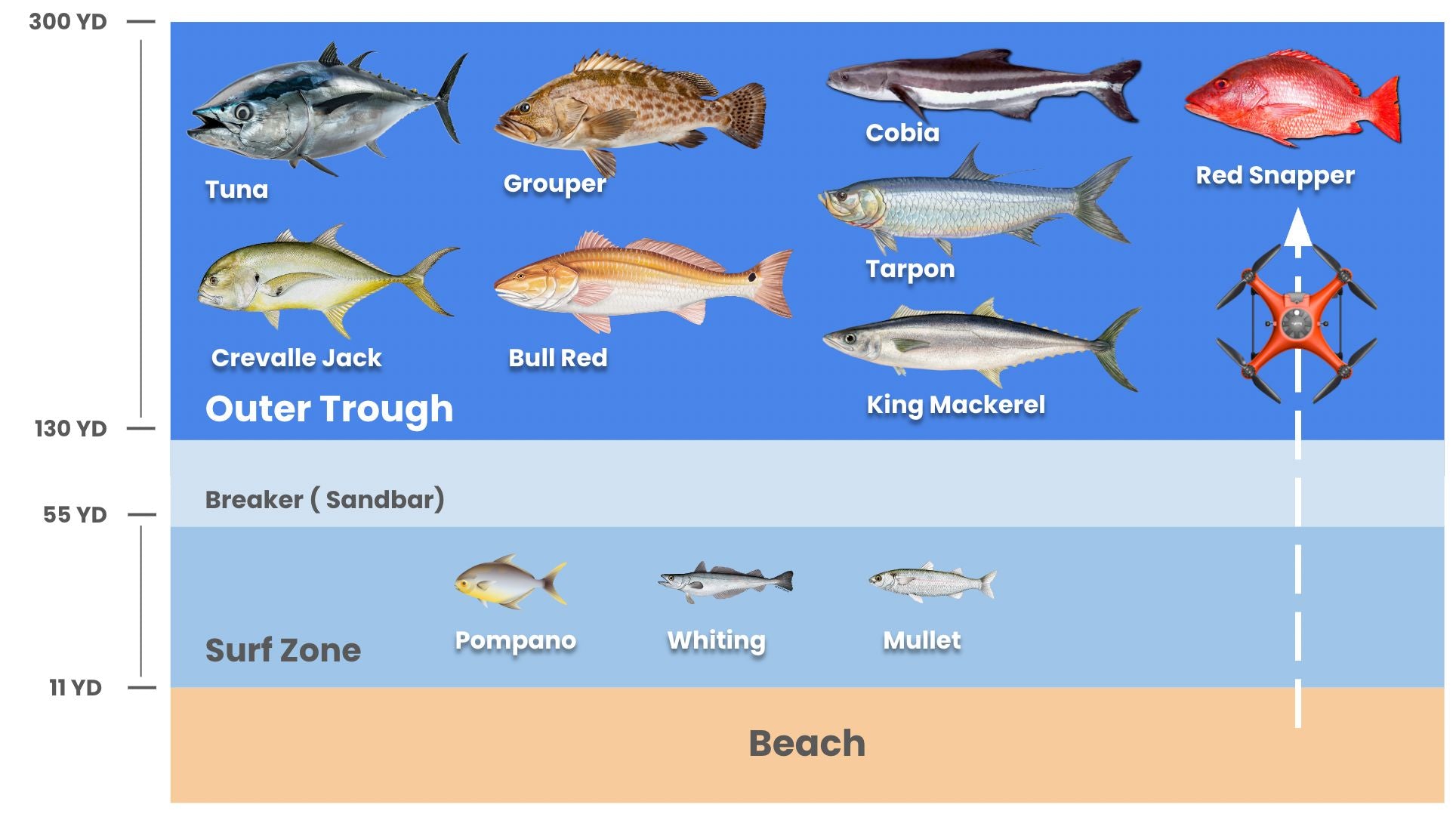 fish-species-in-different-zones-of-nearshore.jpg__PID:a5deb6b8-1926-4e6c-9da8-3a78552cf536