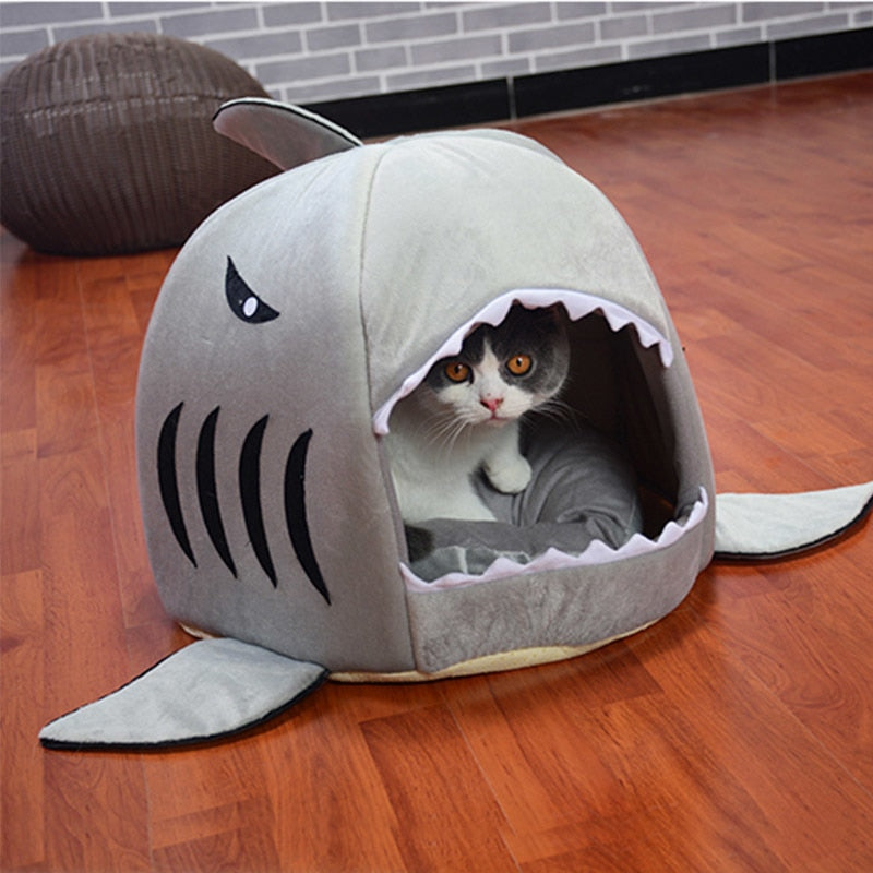 shark dog bed