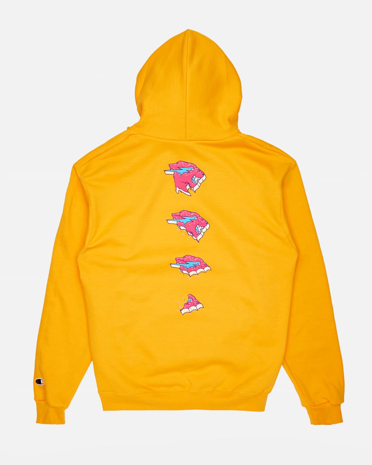 champion youth hoodie canada