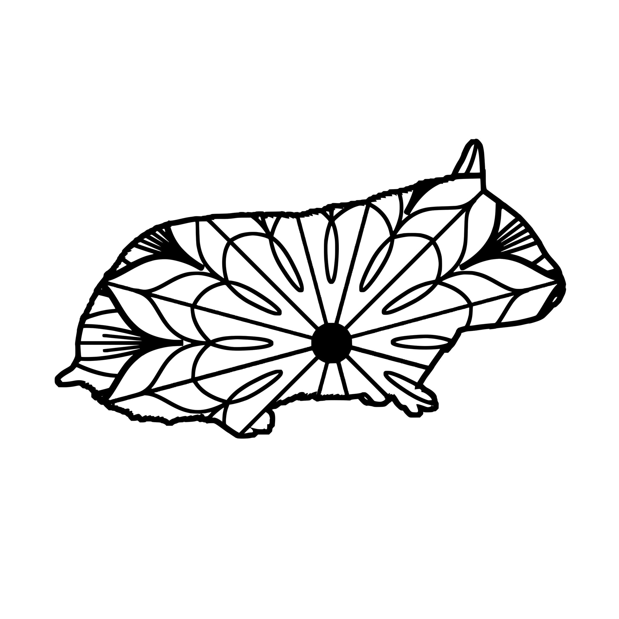 Download Hamster Mandala Hamster Mandala Svg Mandalasvg Com