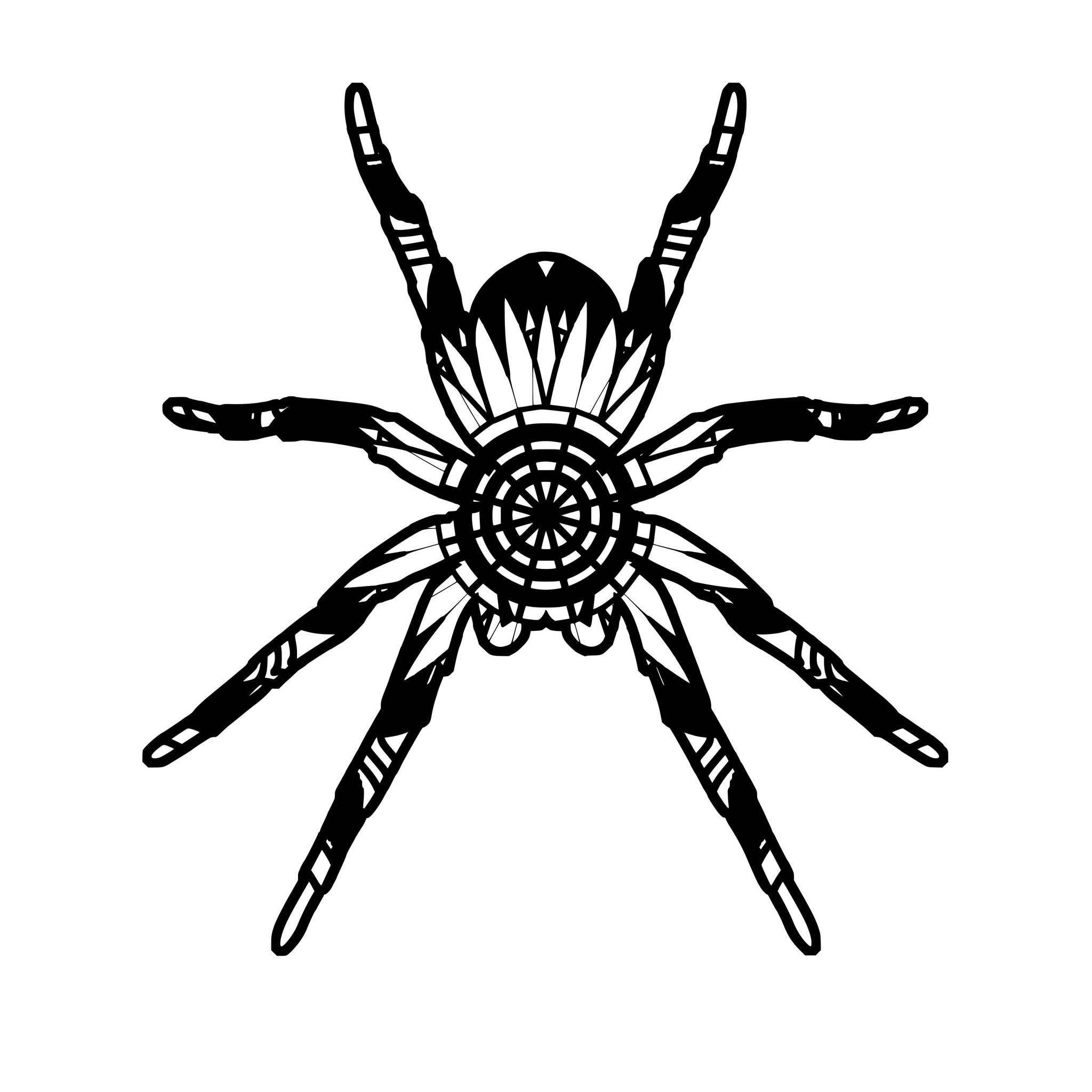 Spider Mandala Animals Svg - Mandalasvg.com