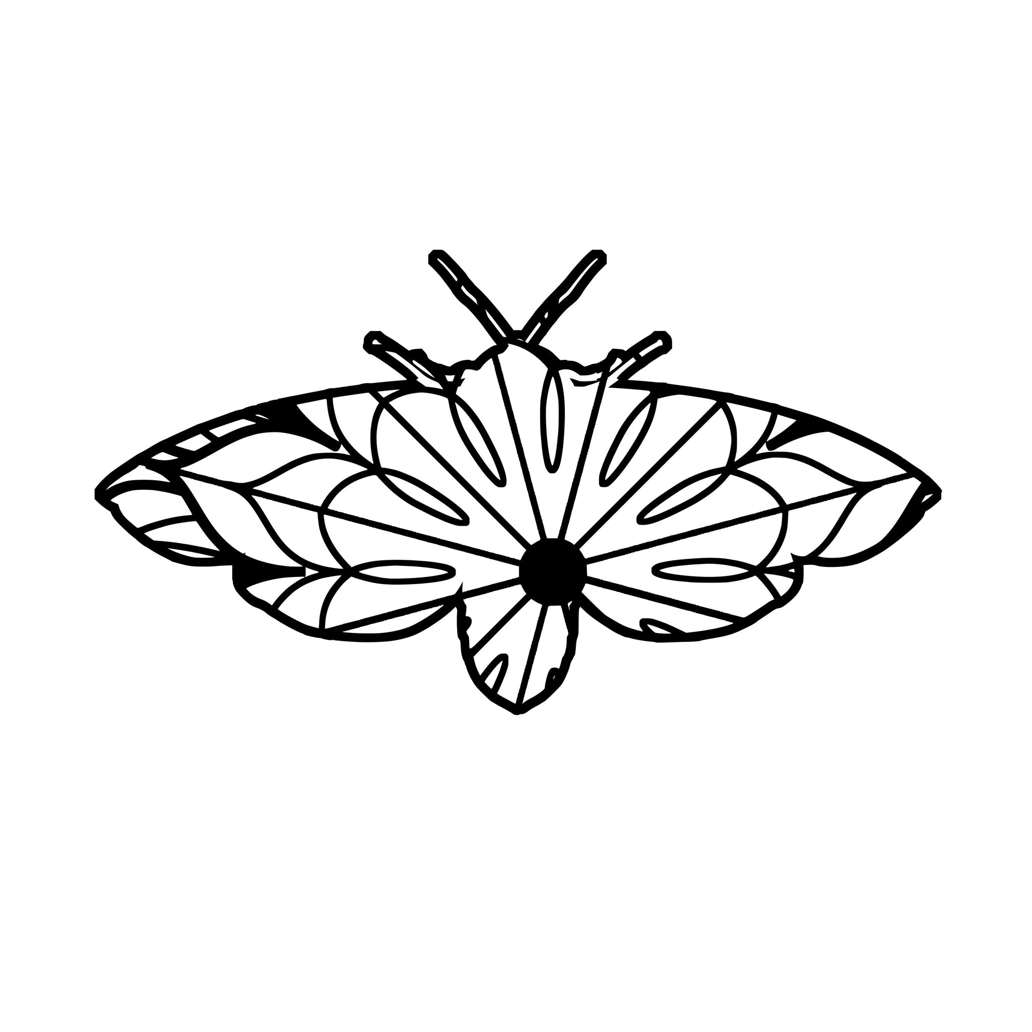 Download Tiger Moth Mandala Tiger Moth Mandala Svg Mandalasvg Com