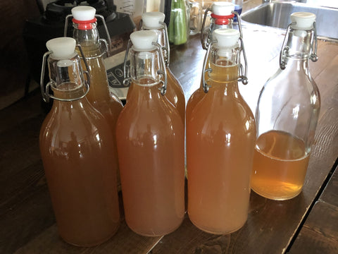 Kombucha Bottles How to Make at Home